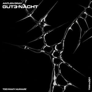 Gut3 Nacht